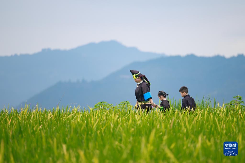 威尼斯人搏彩